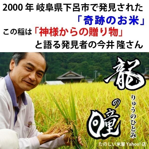 龍の瞳 3kg（1kg×3袋） お得セット 岐阜県産 いのちの壱 令和5年産米 白米 ご注文後に精米・発送 送料無料（一部地域除く）　｜nipponrise｜05