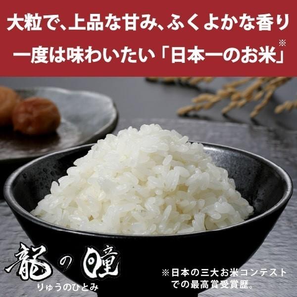 龍の瞳 3kg（1kg×3袋） お得セット 岐阜県産 いのちの壱 令和5年産米 白米 ご注文後に精米・発送 送料無料（一部地域除く）　｜nipponrise｜07