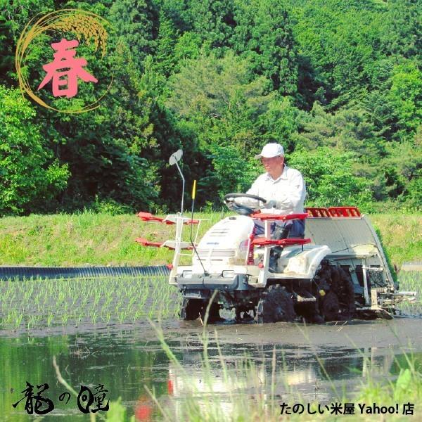 龍の瞳 30kg (5kg×6袋) お得セット 岐阜県産 いのちの壱 令和6 龍の瞳 30kg (5kg×6袋) お得セット 岐阜県産 いのちの壱 令和6