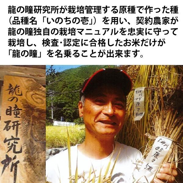 龍の瞳 30kg (5kg×6袋) お得セット 岐阜県産 いのちの壱 令和6 龍の瞳 30kg (5kg×6袋) お得セット 岐阜県産 いのちの壱 令和6