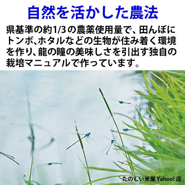 龍の瞳 5kg　岐阜県産 いのちの壱 令和5年産米　白米　ご注文後に精米・発送 送料無料（一部地域加算送料）　　｜nipponrise｜14