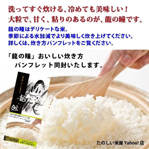 岐阜県産龍の瞳10kg(5kg×2袋)- 龍の瞳 5kg 岐阜県産 令和4年産米 白米 ご注文後に精米・発送 送料無料