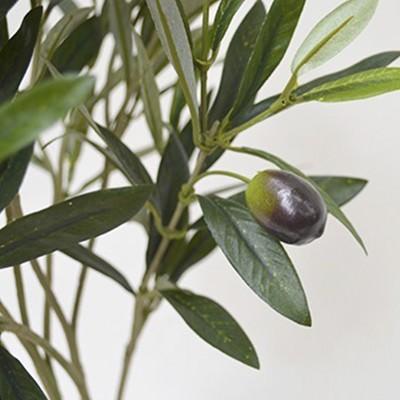 購入された方からは驚きの声が 2万点以上の販売実績 マスコミ取材も多数 光触媒 観葉植物 フェイクグリーン オリーブ 岩や 高知県 送料無料 産直お取り寄せニッポンセレクト 通販 Paypayモール