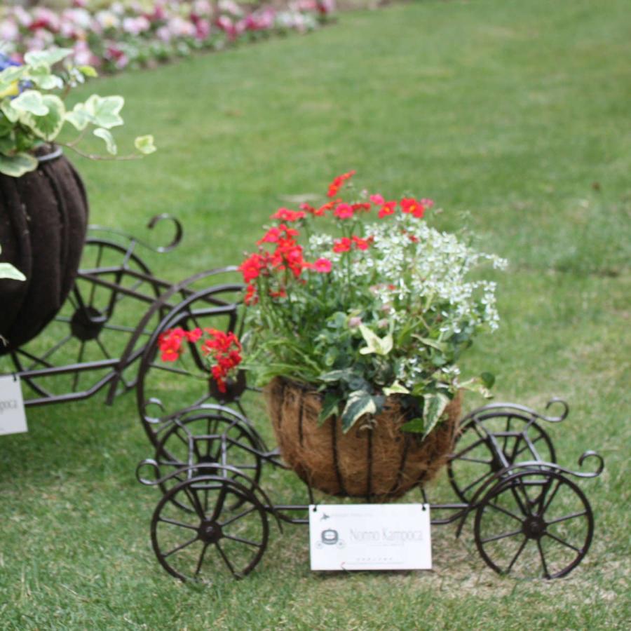 国際ブランド プランター おしゃれ 小型 花馬車 花台鉢 ラック 観葉植物 フラワースタンド 日本製 恵庭商工会議所 北海道 送料無料 ポイント消化 Riosmauricio Com