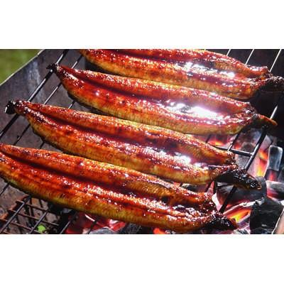 ウナギ 鰻 蒲焼 2尾セット 四万十うなぎ販売株式会社 独自の餌で育てたうなぎを秘伝のタレで焼き上げた 香ばしく深みのある蒲焼 送料無料 ポイント消化 産直お取り寄せニッポンセレクト 通販 Paypayモール