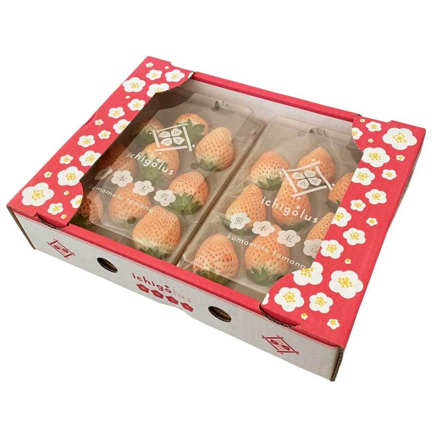 白いちご 淡雪 熊本県産 あわゆき 大粒 3L 高級フルーツ 白いイチゴ 高級 果物 株式会社イチゴラス 熊本県 送料無料 ポイント消化 |  | 01