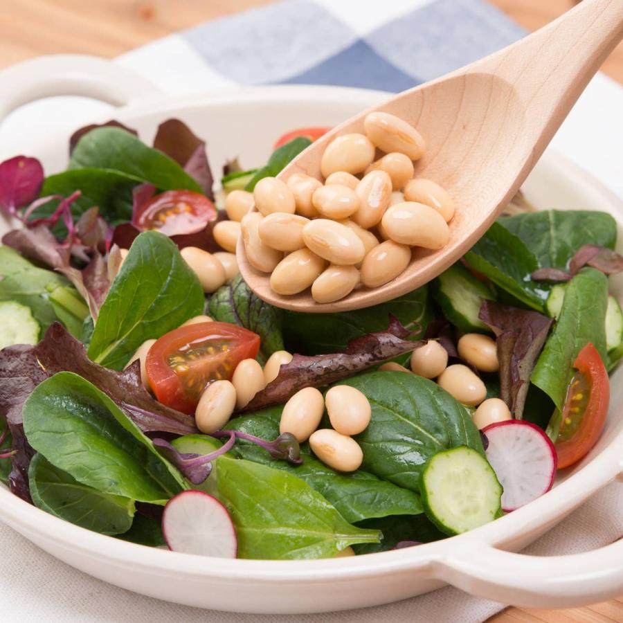 贅沢 乳酸菌が入った蒸し大豆とサラダ豆 セット 蒸し豆 北海道産大豆 カネハツ食品 惣菜 お弁当のおかず ポスト投函便 6袋 野菜惣菜 料理