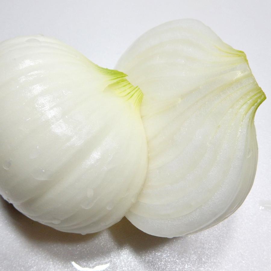 新玉ねぎ 愛知県産 国産野菜 新鮮 サラダ用 たまねぎ 辛くない 2L 10kg 岐阜県 ※期間限定商品 送料無料 ポイント消化｜nipponselect｜03