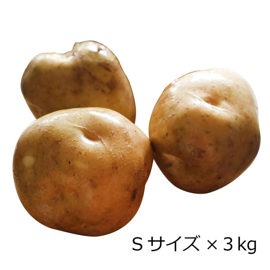 じゃがいも 北海道産 インカのめざめ 秀品 Sサイズ 3kg 黄金じゃがいも 小さめ 野菜 じゃが芋 株式会社サラダファイブ 岐阜県 送料無料 ポイント消化 産直お取り寄せニッポンセレクト 通販 Paypayモール