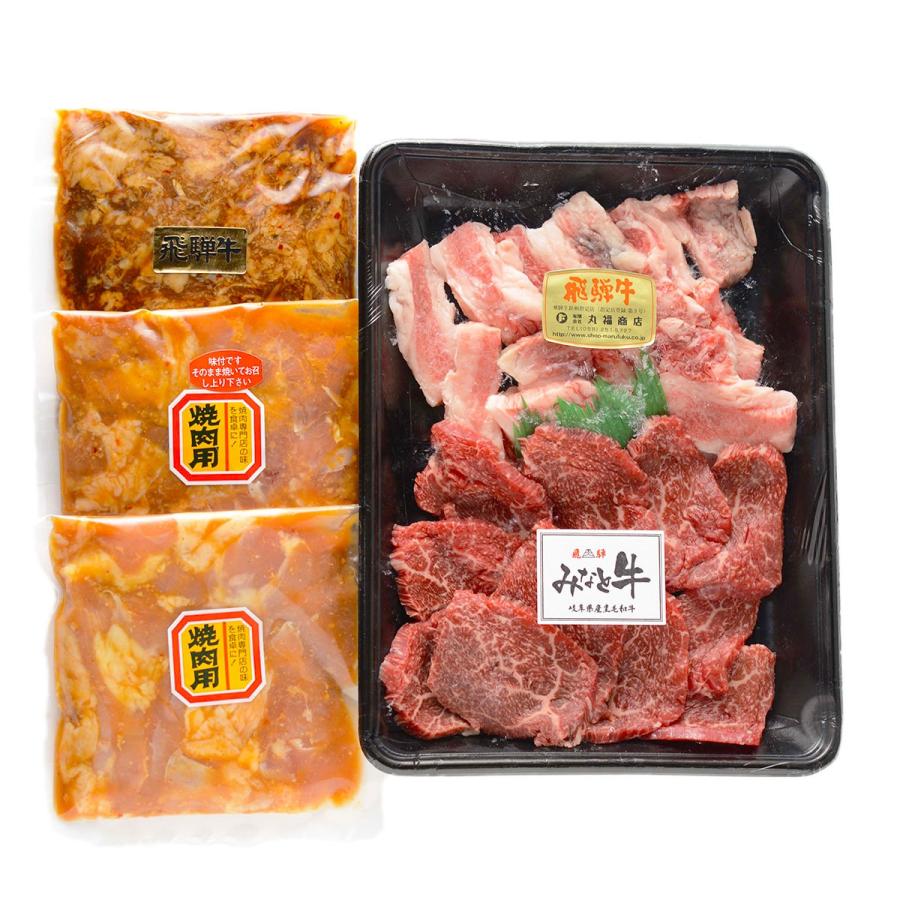 焼き肉セット 黒毛和牛 3-5人前 1kg バーベキュー BBQ 焼肉セット 飛騨牛 カルビ 赤身 ロース 鶏肉 有限会社丸福商店 岐阜県 送料無料 ポイント消化｜nipponselect｜02