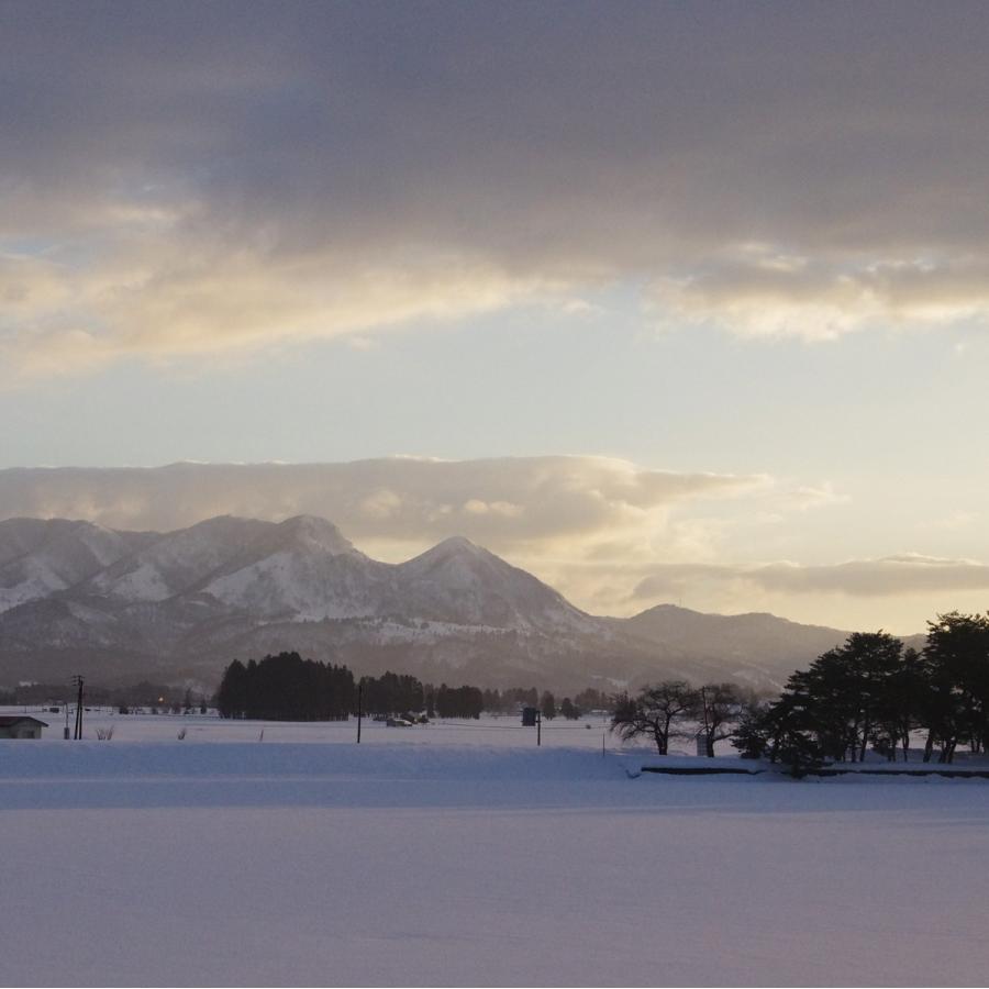 正規品販売 焼肉ハウス金鶴 煮込み用 すね肉 1kg 雪降り和牛尾花沢 黒毛和牛 牛肉 大容量パック 国産牛 山形特産 ブランド 有限会社アサイ 山形県5 943円 Aynaelda Com