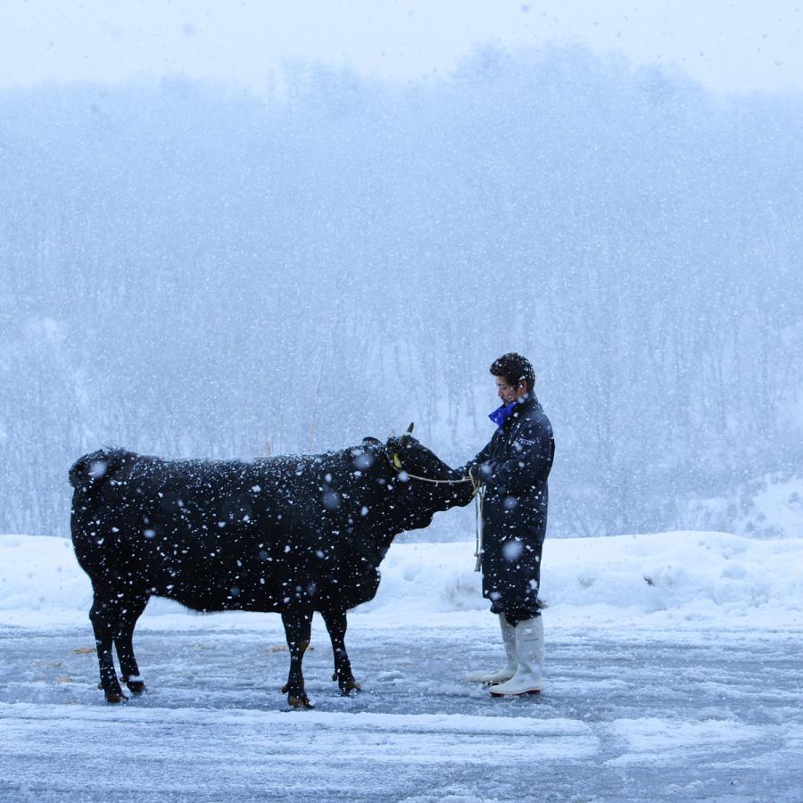 特別価格 焼肉ハウス金鶴 煮込み用 すね肉 1kg 雪降り和牛尾花沢 黒毛和牛 牛肉 大容量パック 国産牛 山形特産 ブランド 有限会社アサイ 山形県 Materialworldblog Com