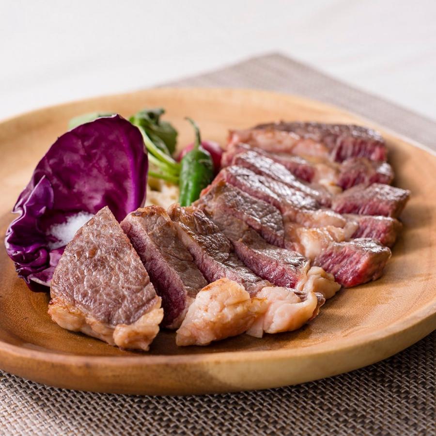 クーポン対象外 ステーキ肉 発酵 熟成肉 ステーキ トライアル 0g 肩ロース エイジング 石井食品 冷凍 牛肉 お試し ビーフ 石井食品株式会社 岡山県 Materialworldblog Com