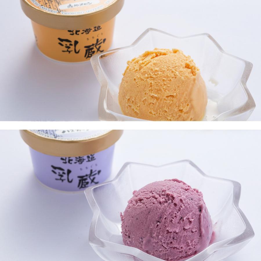 アイス 乳蔵 北海道 アイスクリーム 5種 10個 セット 詰め合わせ バニラ デザート スイーツ 洋菓子 産直お取り寄せニッポンセレクト 通販 Paypayモール