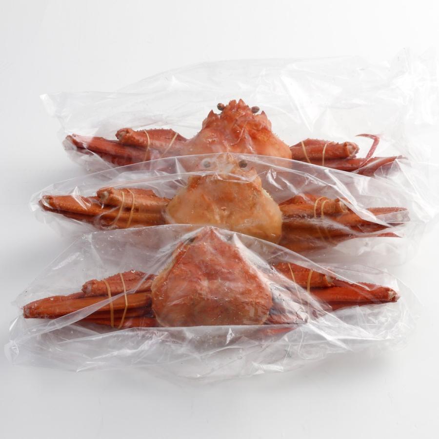 北海道産 紅ずわいがに 3尾 ズワイガニ セット 北海道 産地直送 海鮮 ズワイガニ姿 カニ 蟹 かに 冷凍 ゆで ボイル 産直お取り寄せニッポンセレクト 通販 Paypayモール