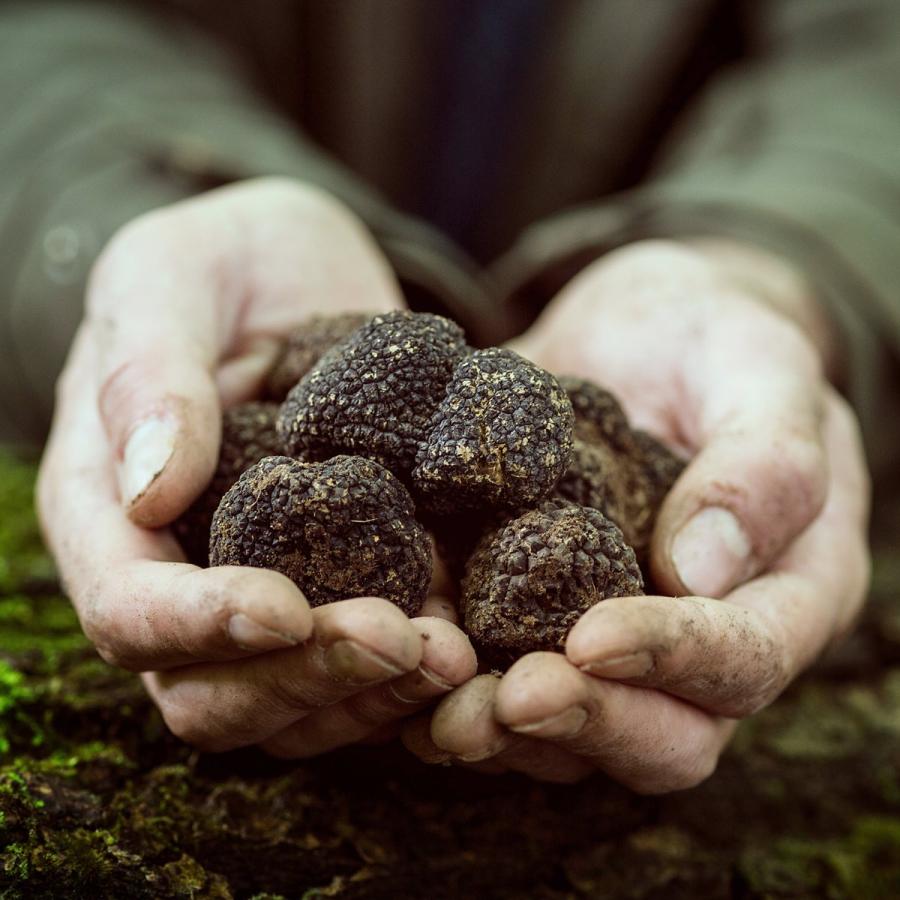 トリュフペースト 黒トリュフソース 170g タルトゥファータ 瓶詰め ペースト トリュフハンター 高級 調味料 産直お取り寄せニッポンセレクト 通販 Paypayモール