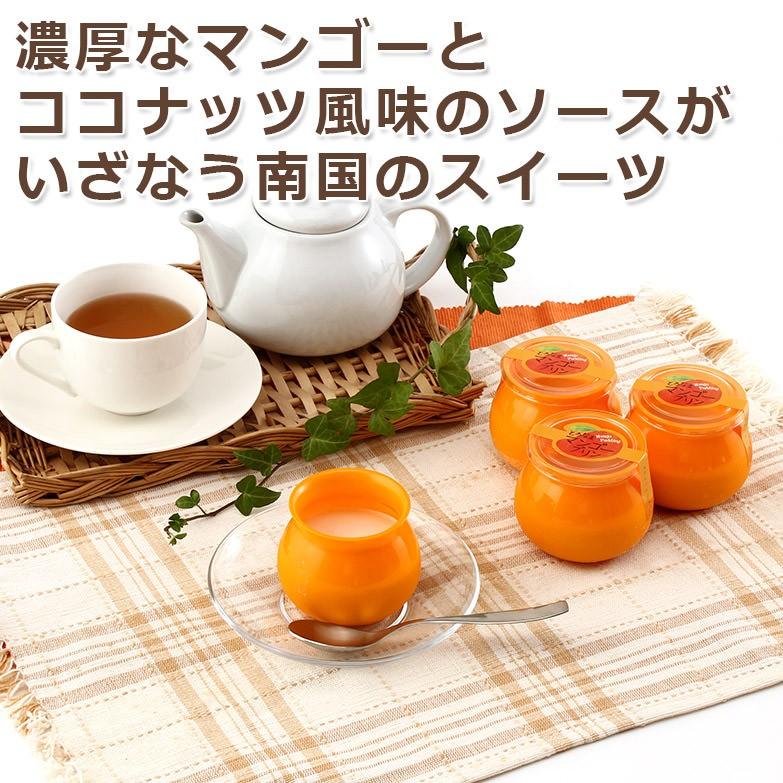 濃厚なマンゴーとココナッツ風味のソース とろ生マンゴープリン