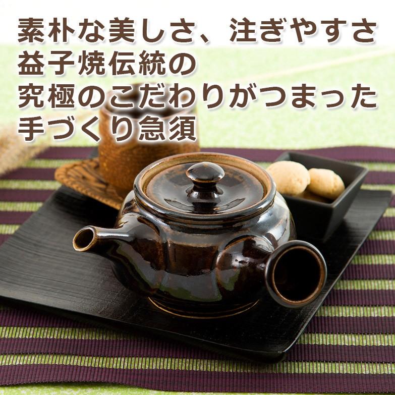 こだわりの使いやすさ 益子焼茶器（急須） 送料無料 ポイント消化