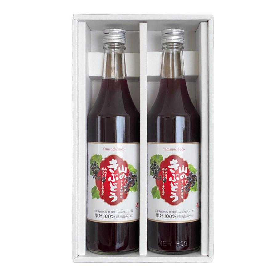 フルーツジュース 山のきぶどう 2本 セット 無添加 果汁 100% き