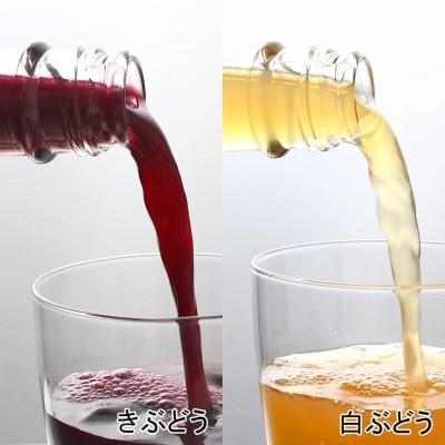 フルーツジュース マルタの きぶどう 白ぶどう 600ml ジュース