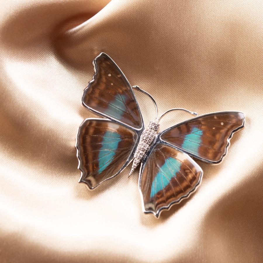 リアルバタフライ マグネットブローチ ブローチ 蝶 珍しい 高級 蝶の羽