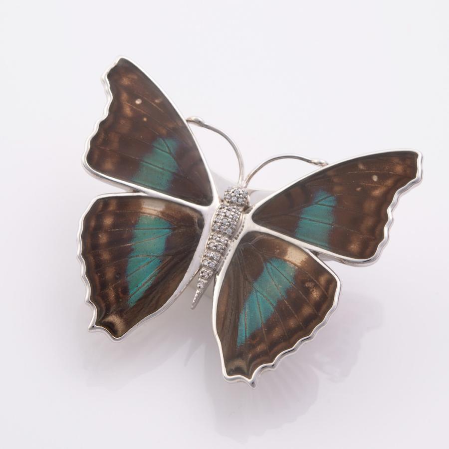 リアルバタフライ マグネットブローチ ブローチ 蝶 珍しい 高級 蝶の羽 ちょうちょ アクセサリー 服飾小物 希少 日本製 産直お取り寄せニッポンセレクト 通販 Paypayモール