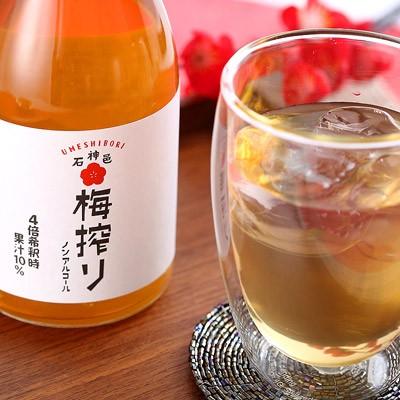 完熟梅シロップ　お得な3本セット　送料込み s037 ≪のむ梅≫完熟梅シロップセット(360ml×2本・計720ml) 完熟