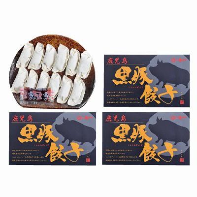 鹿児島黒豚生餃子 4箱 〔生餃子（16g×12個）×4箱、たれ13g×4個