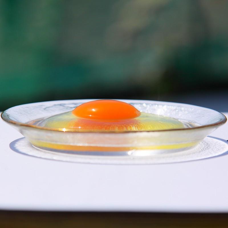 四万十川河口 放し飼い 最大77 Offクーポン 有精卵 池田なません 3ｐセット 送料無料 766円 ポイント消化7 こだわりの放し飼い地鶏の卵 30個入り