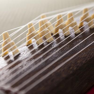 観賞用ミニ琴“琴太朗君” 有限会社たましげ 山口県 日本国内に現存する