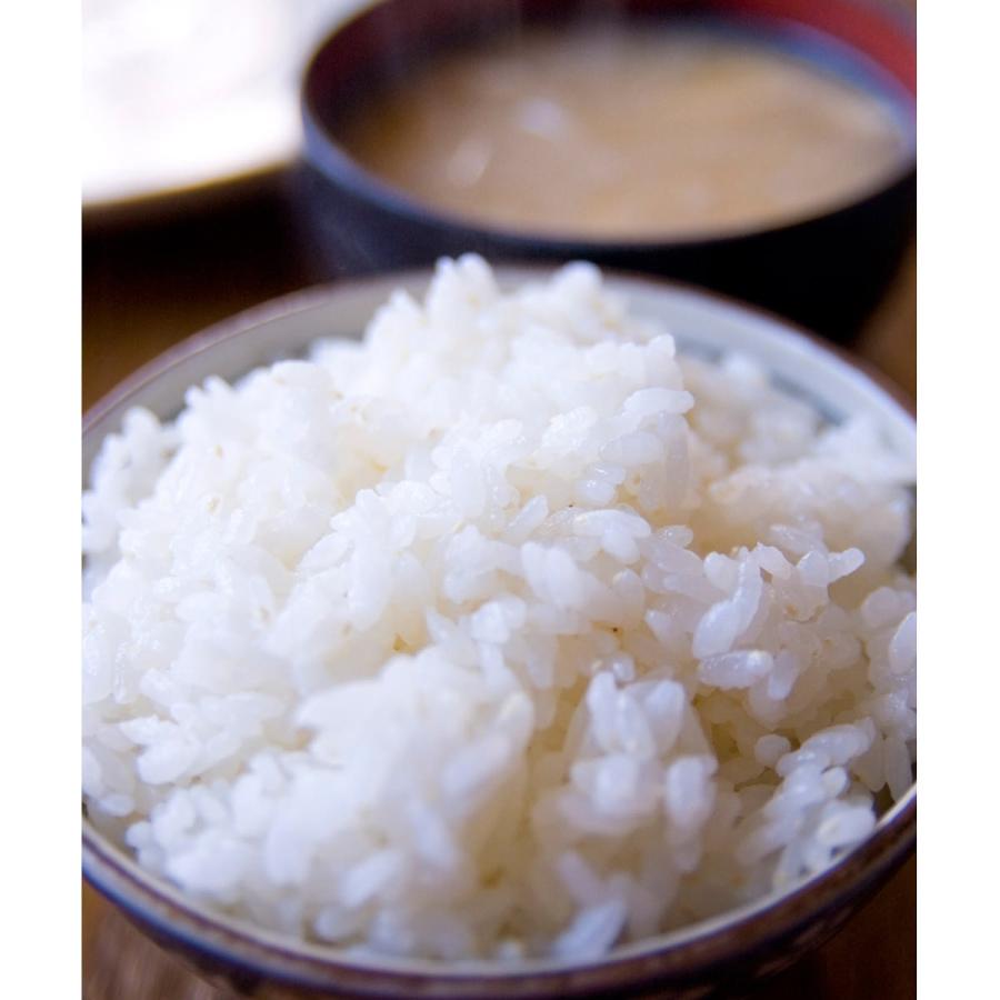 と*ー様 新潟県産 こしひかり 白米 2kg×4袋 合計8kg 楽天市場】新潟県産コシヒカリ2kgの通販