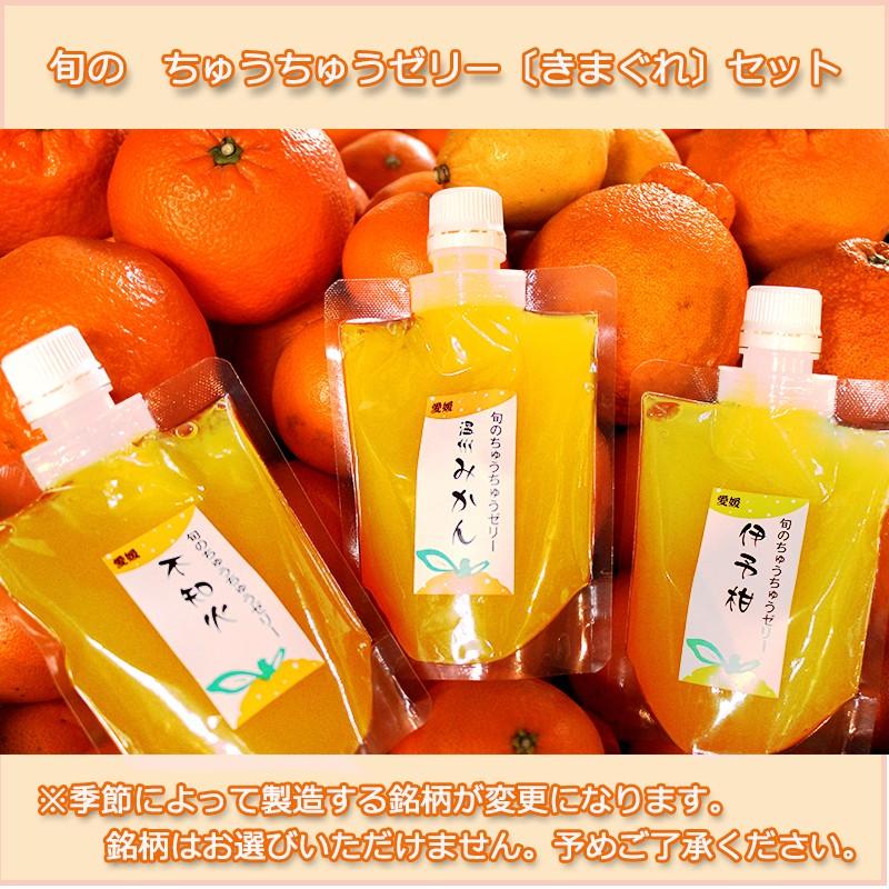 お取り寄せ ちゅうちゅうゼリー 旬の柑橘 気まぐれセット 10個 送料