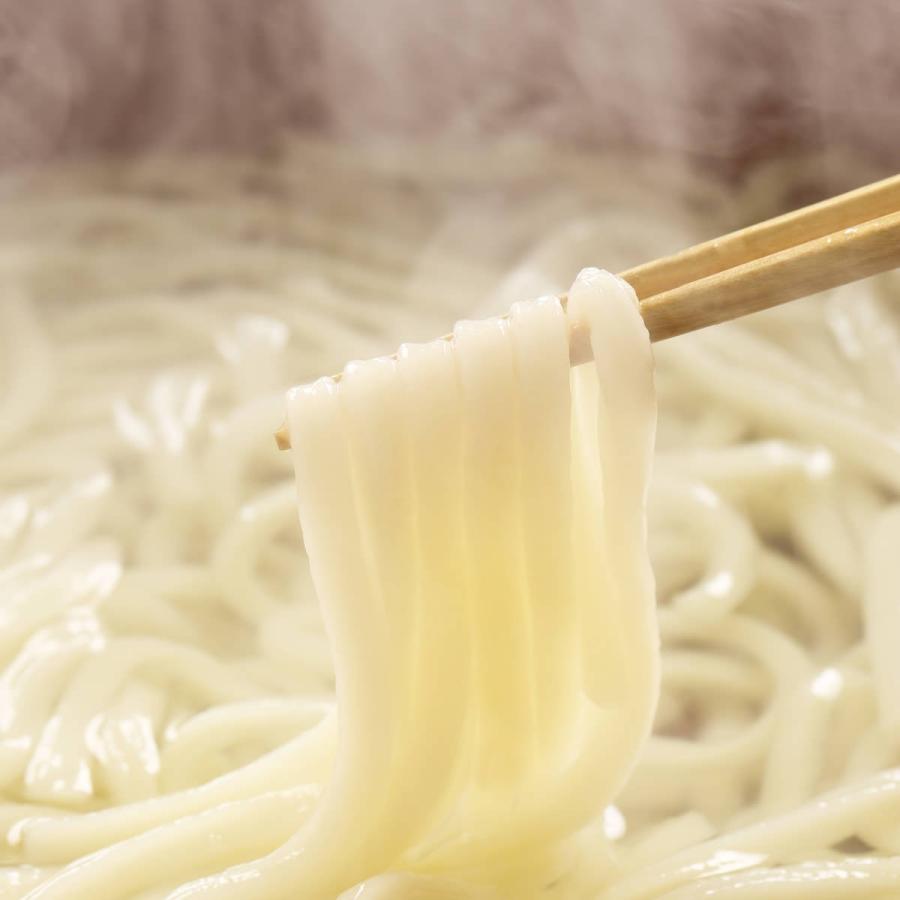 讃岐の素うどん 2食 セット うどん 麺 だし 詰め合わせ 讃岐うどん さぬきうどん 香川名物 饂飩 ご当地グルメ 四国 ポスト投函便 産直お取り寄せニッポンセレクト 通販 Paypayモール