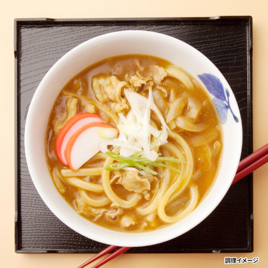 さぬきのレンチンうどん カレーうどん 10食 詰合せ うどん 常温 惣菜 麺類 讃岐うどん 香川名物 電子レンジ調理 産直お取り寄せニッポンセレクト 通販 Paypayモール