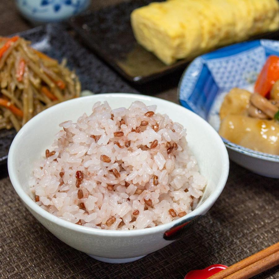 MIDORI 阿波音 14g 30袋 セット 古代米 徳島県産 玄米 個包装 赤米