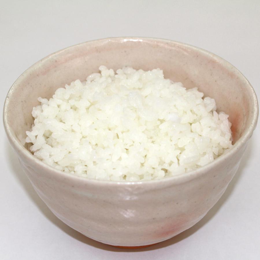 尾西食品 アルファ米 尾西の白飯 50食 スプーン付き アルファ化米 ご飯