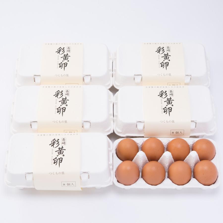 朝採れ玉子 8個入り 6パック セット 長崎彩黄 新鮮 とれたて卵 長崎県産 九州産 高級 つくもの里 生たまご 社会福祉法人琴の海いやしの会 長崎県 ポイント消化 産直お取り寄せニッポンセレクト 通販 Paypayモール