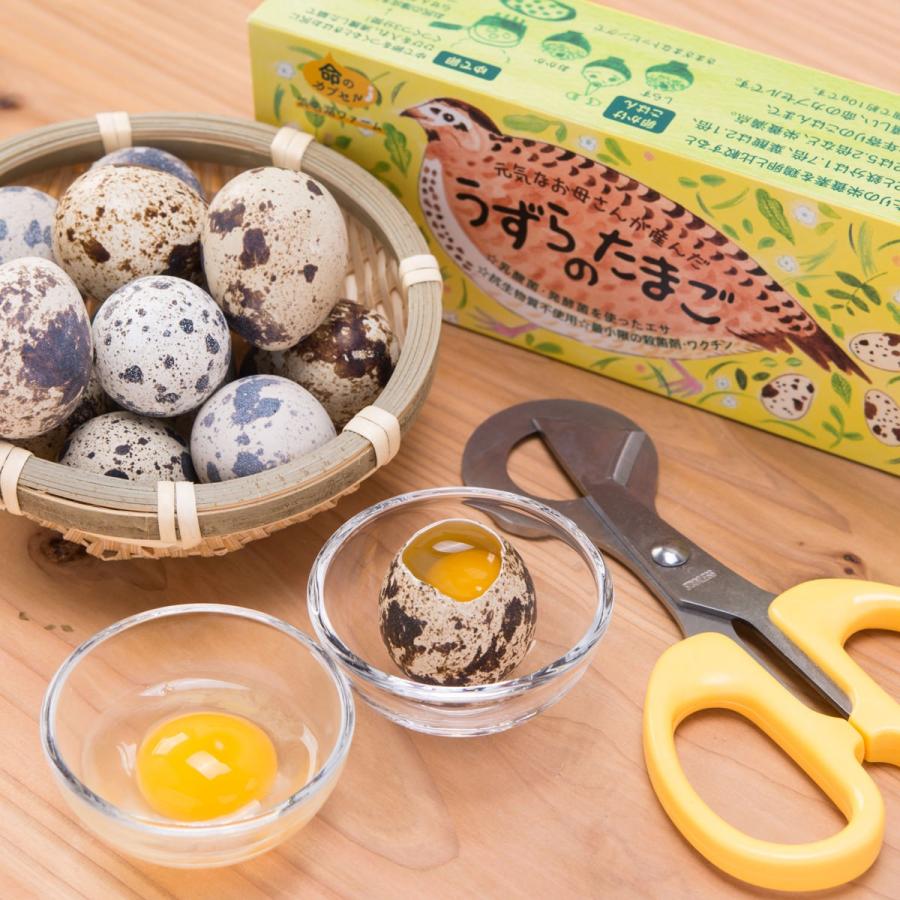 うずらの卵 命のカプセル ギフトパック 生卵 うずらの玉子 燻製