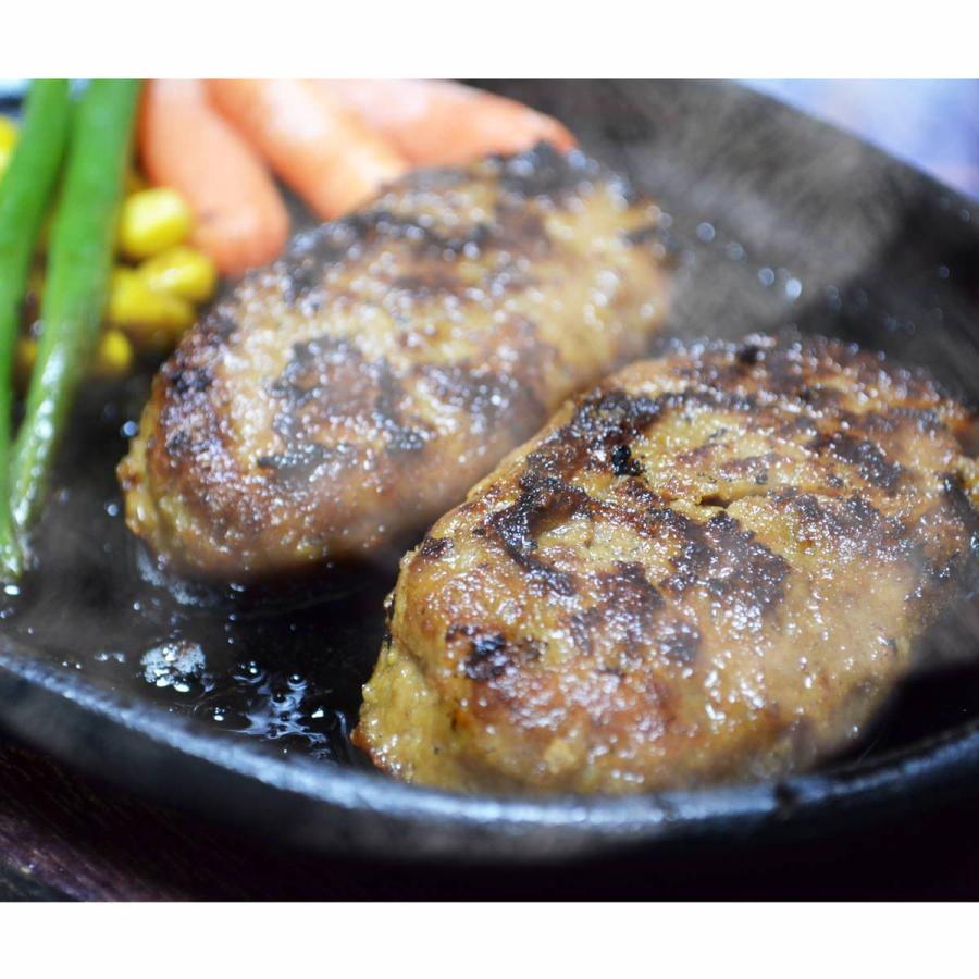 飛騨牛仕込み焼きハンバーグ 煮込みハンバーグセット Nyg 30 ハンバーグ レトルト 惣菜 和牛ハンバーグ 飛騨高山牧場4 104円 21年新作入荷