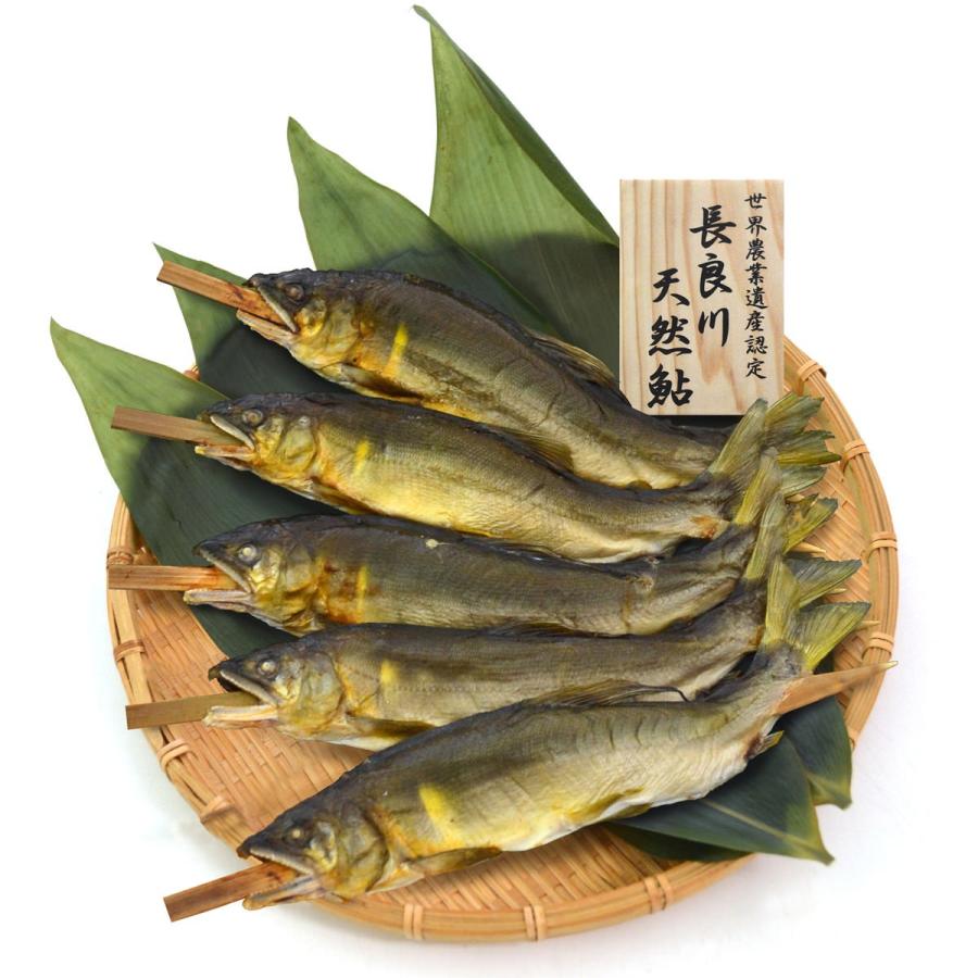 天然鮎塩焼き TAU-100C 清流長良川 冷凍 焼き魚 あゆの塩焼き 岐阜県産 国産 魚料理 郷土料理 ご当地グルメ｜nipponselect｜02