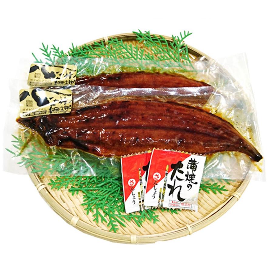 九州産 大うなぎ蒲焼 2尾 1尾130g 140g 木目調ギフトbox付 産直お取り寄せニッポンセレクト 通販 Paypayモール