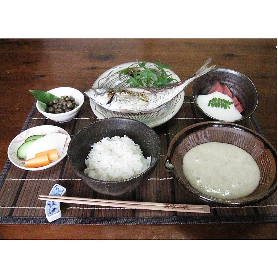 自然薯麦とろセット 4食 九州産 じねんじょ とろろ 冷凍 パック
