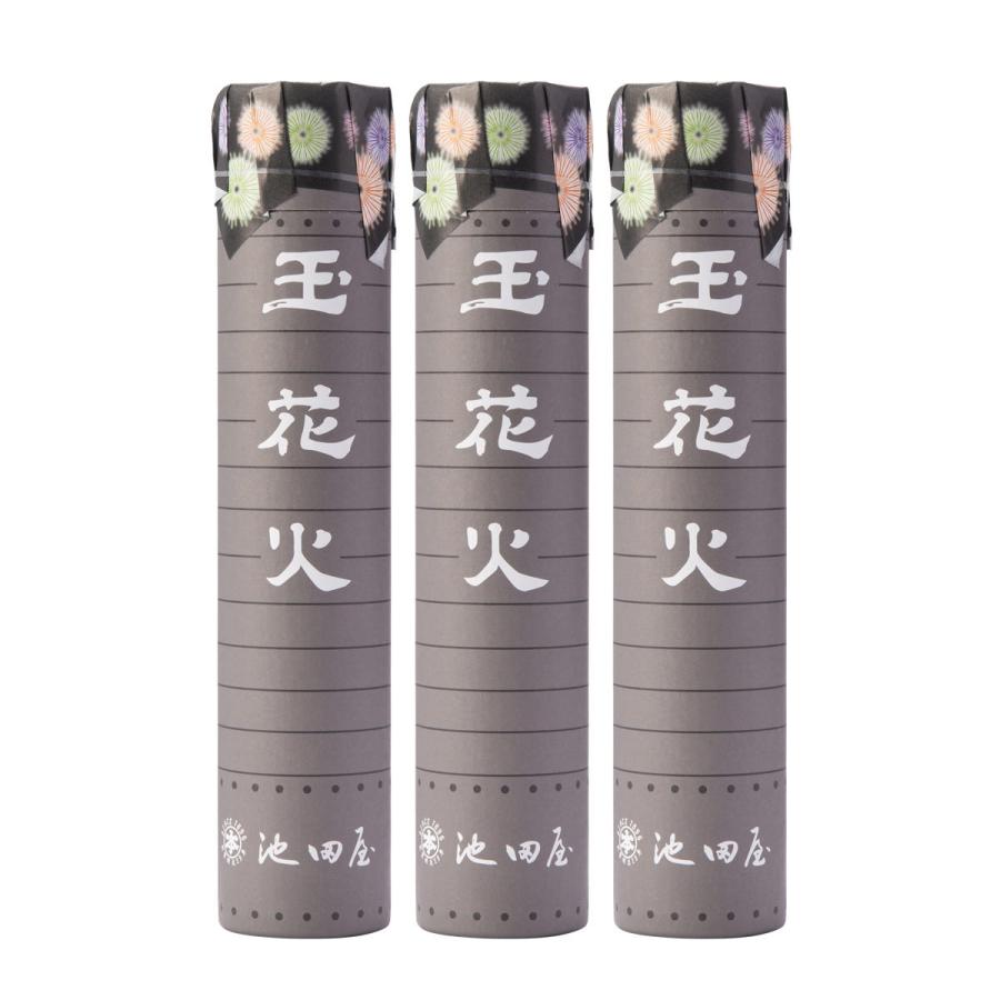 玉花火ゼリー 筒入 3本セット 5種 詰合せ ゼリー 洋菓子 フルーツゼリー コーヒーゼリー 抹茶ゼリー 新潟 本丸池田屋 産直お取り寄せニッポンセレクト 通販 Paypayモール