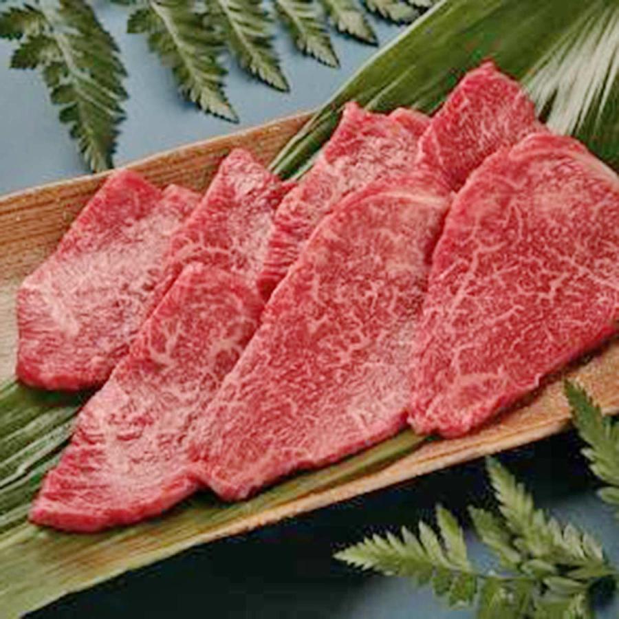 ショッピング 味彩牛 網焼き肉モモ 400g 牛脂付 牛肉 赤身 国産 ブランド肉 牛モモ 冷凍 高級 焼肉用 赤身肉 ヘルシー Materialworldblog Com