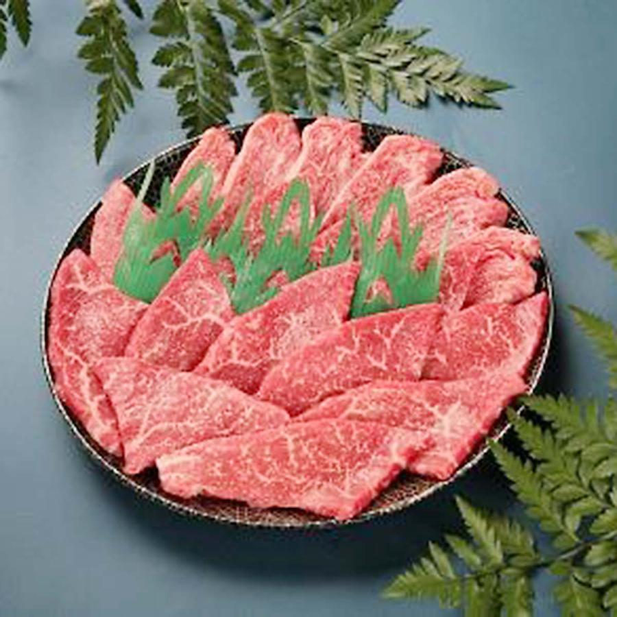 交換無料 味彩牛 網焼き肉モモ 500g 牛脂付 牛肉 赤身 国産 ブランド肉 牛モモ 冷凍 高級 焼肉用 赤身肉 ヘルシー 高速配送 Www Aqtsolutions Com