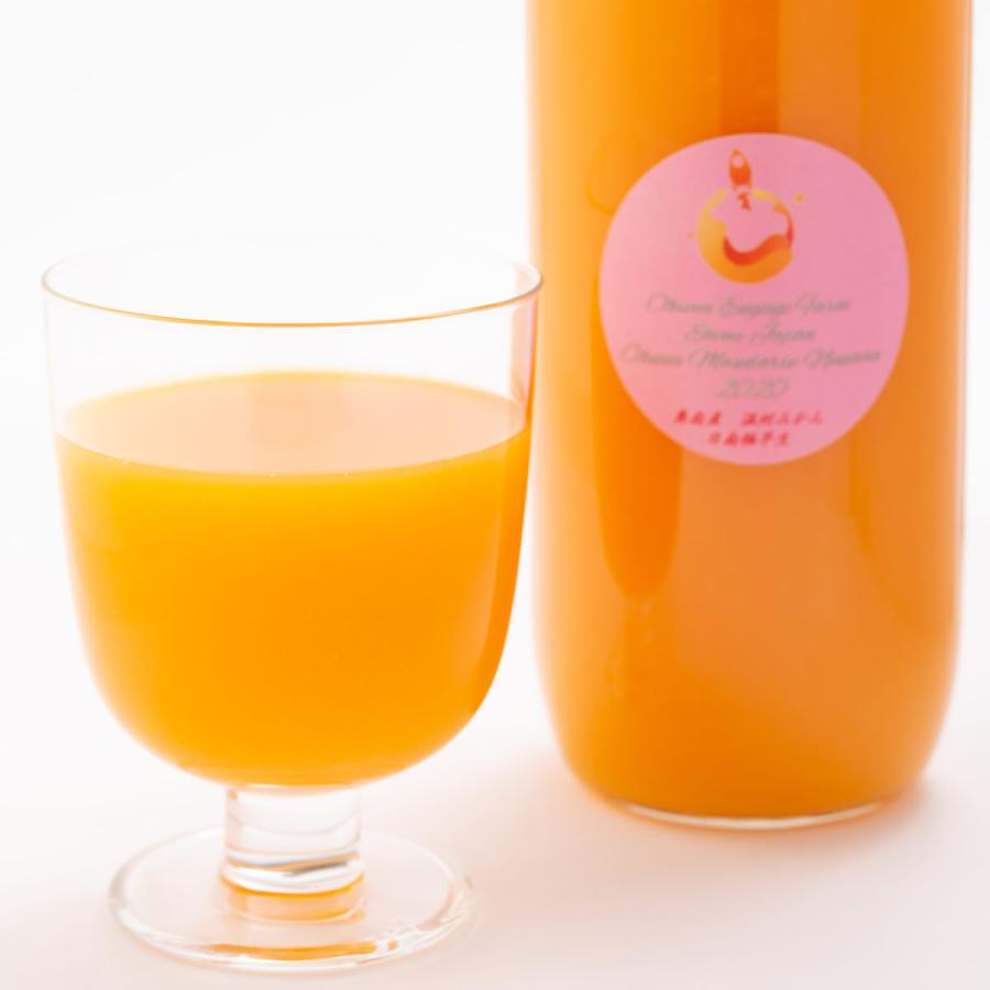 奥南マンダリンヌーヴォー 日南極早生 12本 みかんジュース 極早生みかん 国産 愛媛 