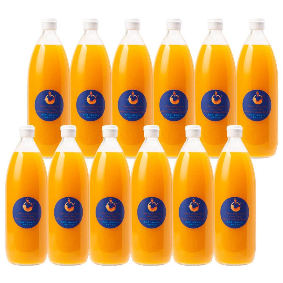 温州みかんジュース 南柑20号 1000ml 12本セット みかんジュース 果汁飲料 ストレートジュース 国産 