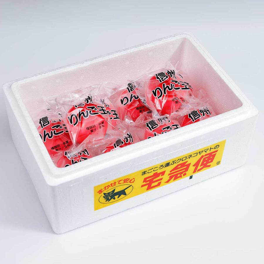 信州りんご玉 アイス 10個セット シャーベット 洋菓子 スイーツ かわいい デザート 信州 長野 ご当地 りんご 国産 【沖縄・離島 配送不可】