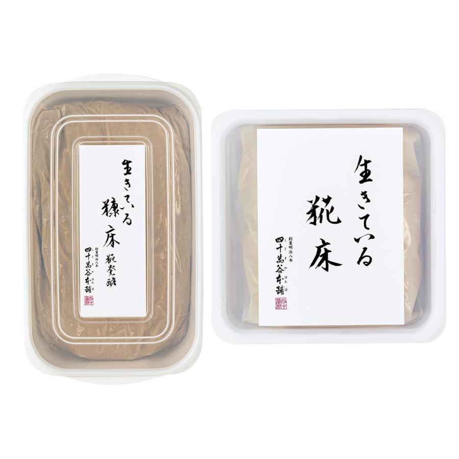 御中元 お中元 ギフト 本造りたくあん詰合せ 送料無料 うまもん