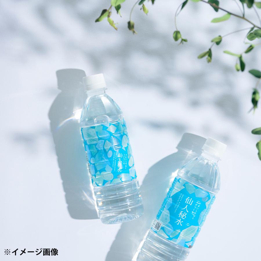 仙人秘水 天然水 1100ml ペットボトル 12本 ミネラルウォーター【沖縄